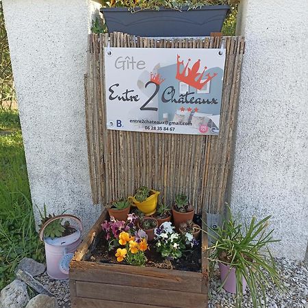 Entre 2 Chateaux Onzain Eksteriør billede